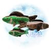 Rainbow Trout Stuffie Embroidery