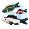 OAD Rainbow Trout Stuffie Multi MB 80072