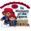 OAD Rainy Day Bear Stuffie 800 (1) OAD Rainy Day Bear Stuffie 800 (1)