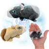 Giselle Guinea Pig