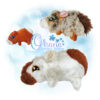 Giselle Guinea Pig
