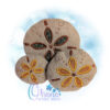 Sand Dollar Stuffie