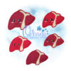 OAD Liver Feltie 2000 Liver Feltie