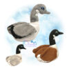 OAD 2405 3D Canada Goose Stuffie 2000 copy 3D Canada Goose Stuffie