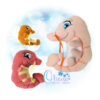 OAD 2406 Shrimp Stuffie 2000 copy Shrimp Huggie Stuffie