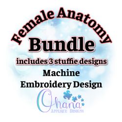 April 21st - Mini Female Anatomy