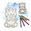 Zebra Flat Coloring Doll